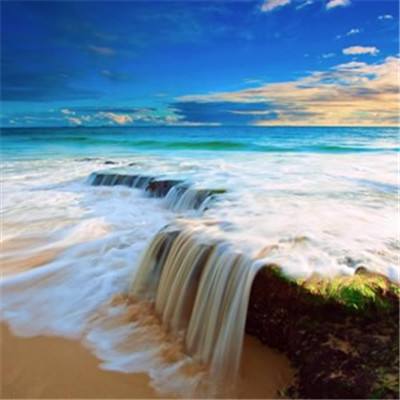 永盈会手机app下载