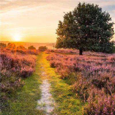 ag旗舰厅客户端下载